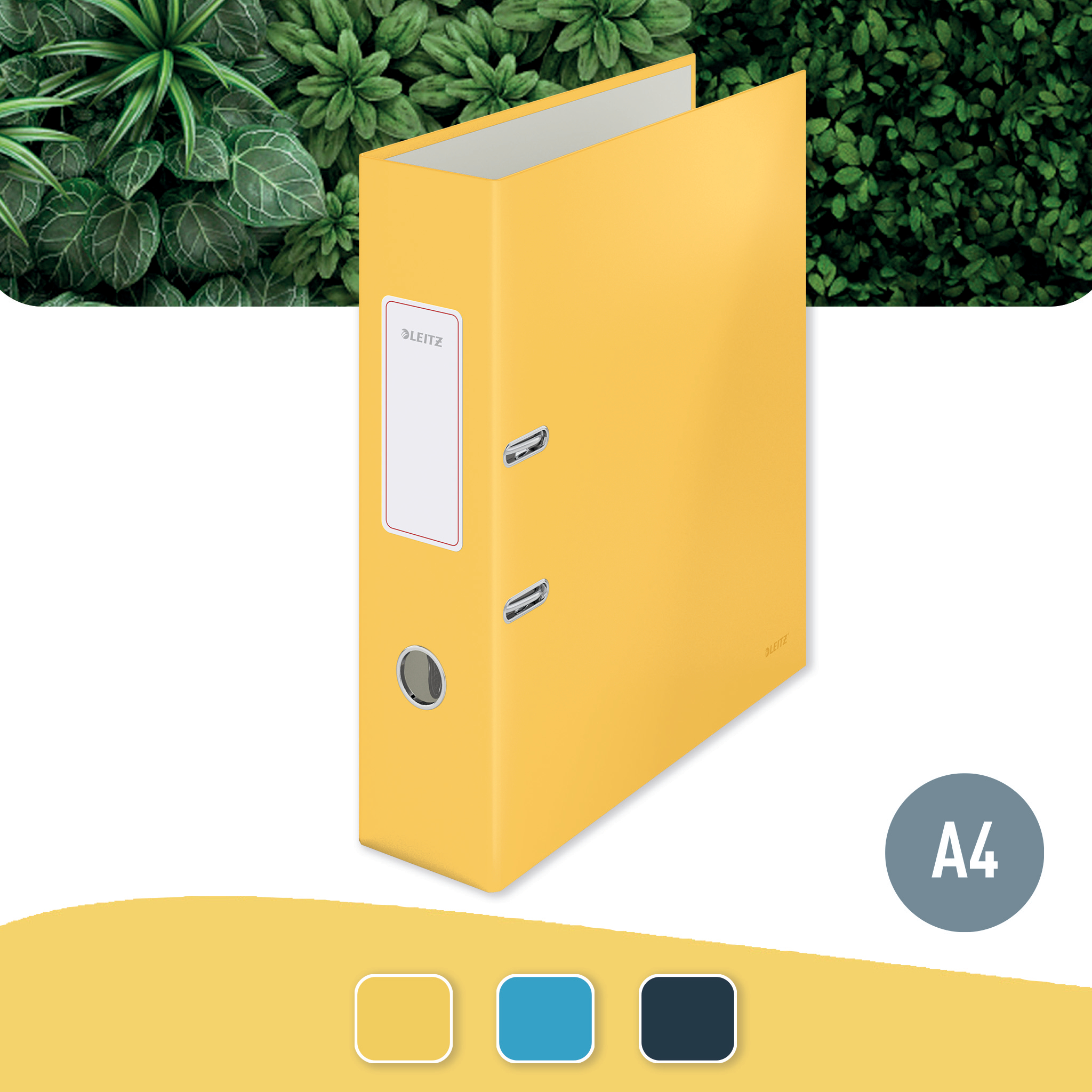 autograf